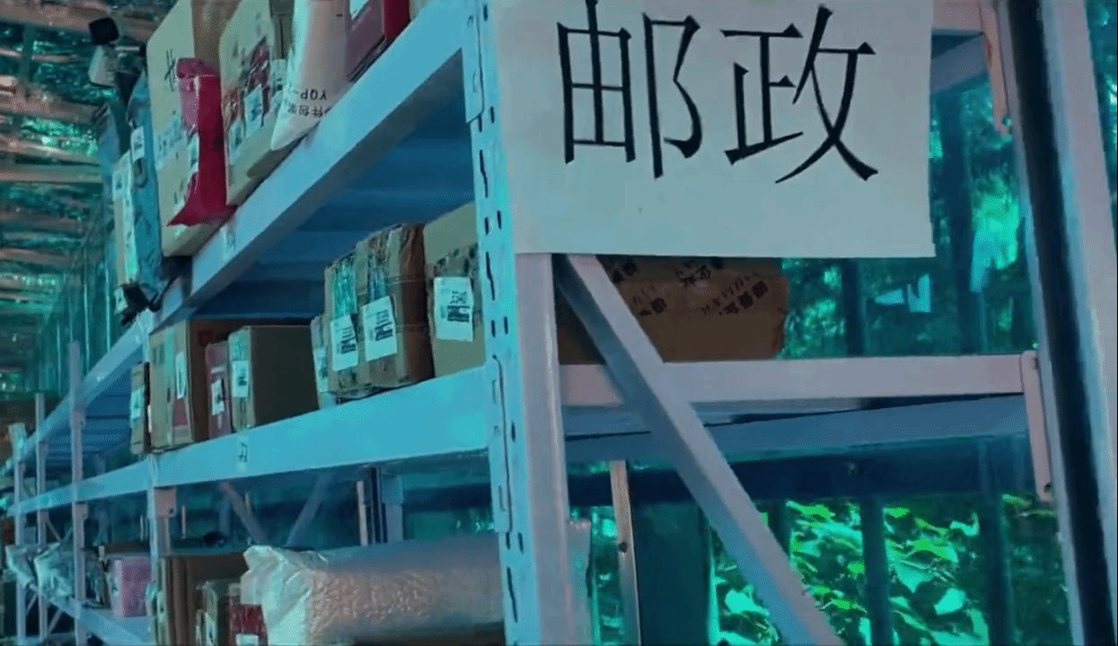 小马快跑 | 求求了，快给快递“降降温”吧！